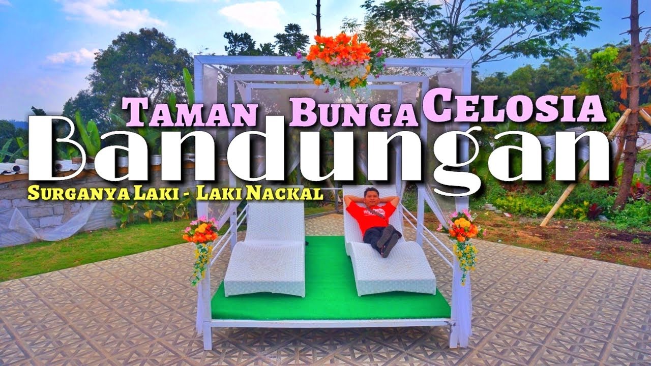 Detail Gambar Taman Bunga Celosia Bandungan Nomer 26