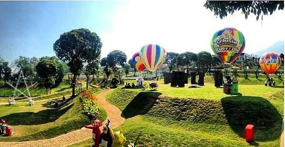 Detail Gambar Taman Bunga Celosia Bandungan Nomer 45