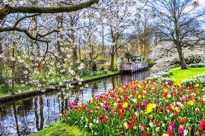 Detail Gambar Taman Bunga Di Belanda Nomer 29