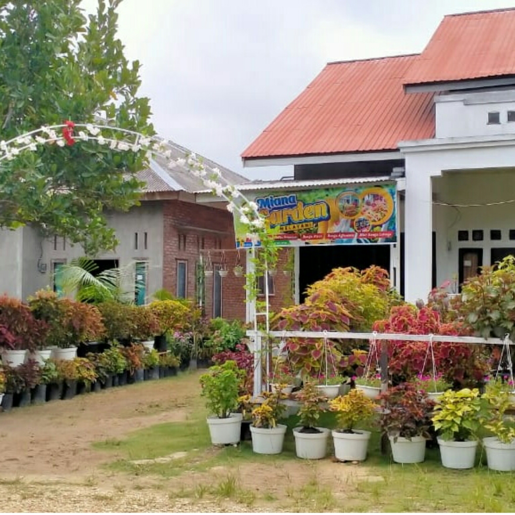 Detail Gambar Taman Bunga Di Halaman Rumah Nomer 22