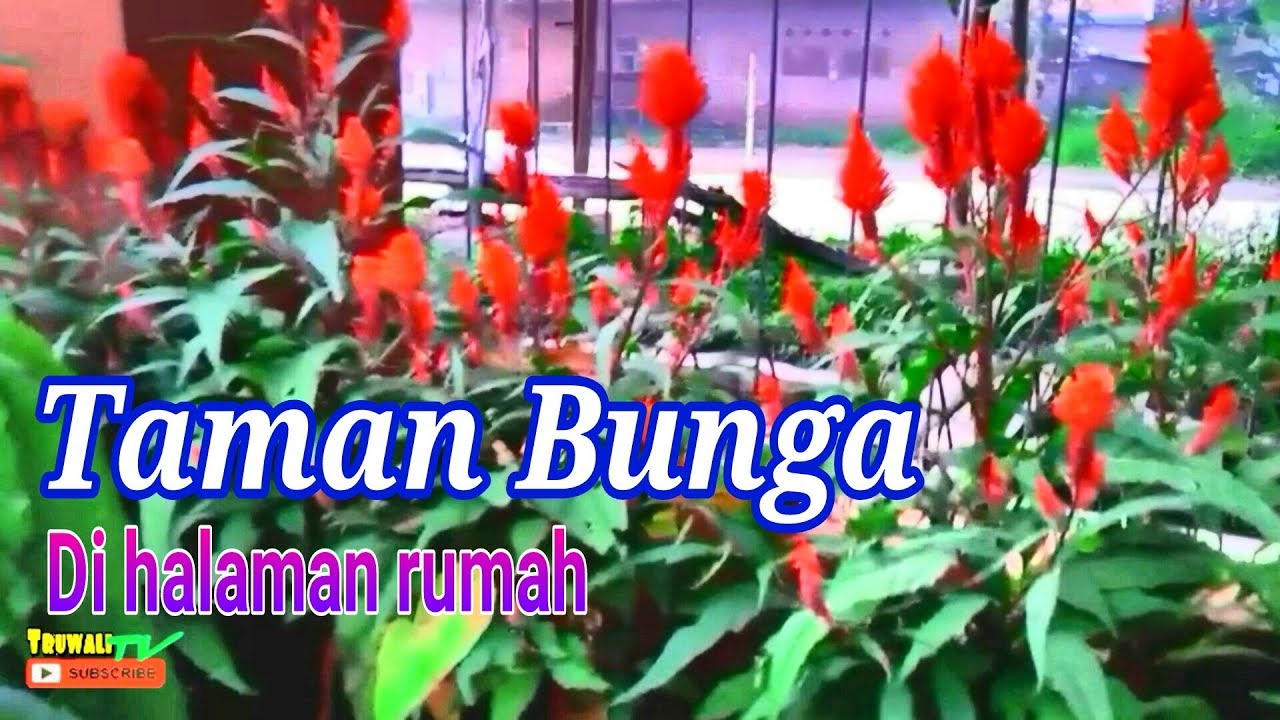 Detail Gambar Taman Bunga Di Halaman Rumah Nomer 37