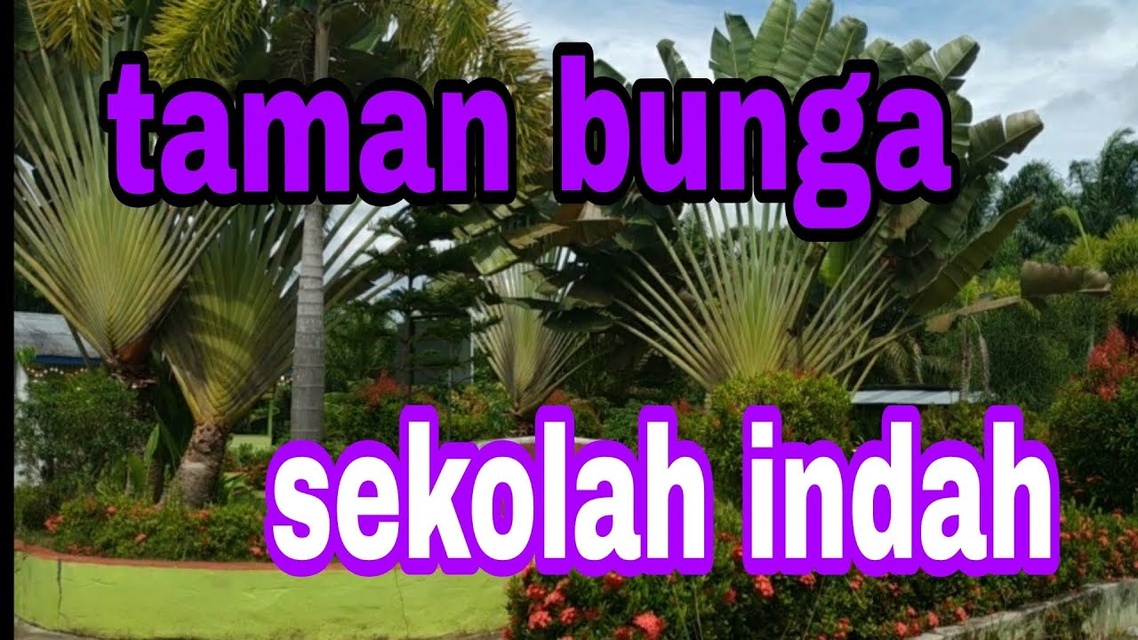 Detail Gambar Taman Bunga Di Sekolah Nomer 16