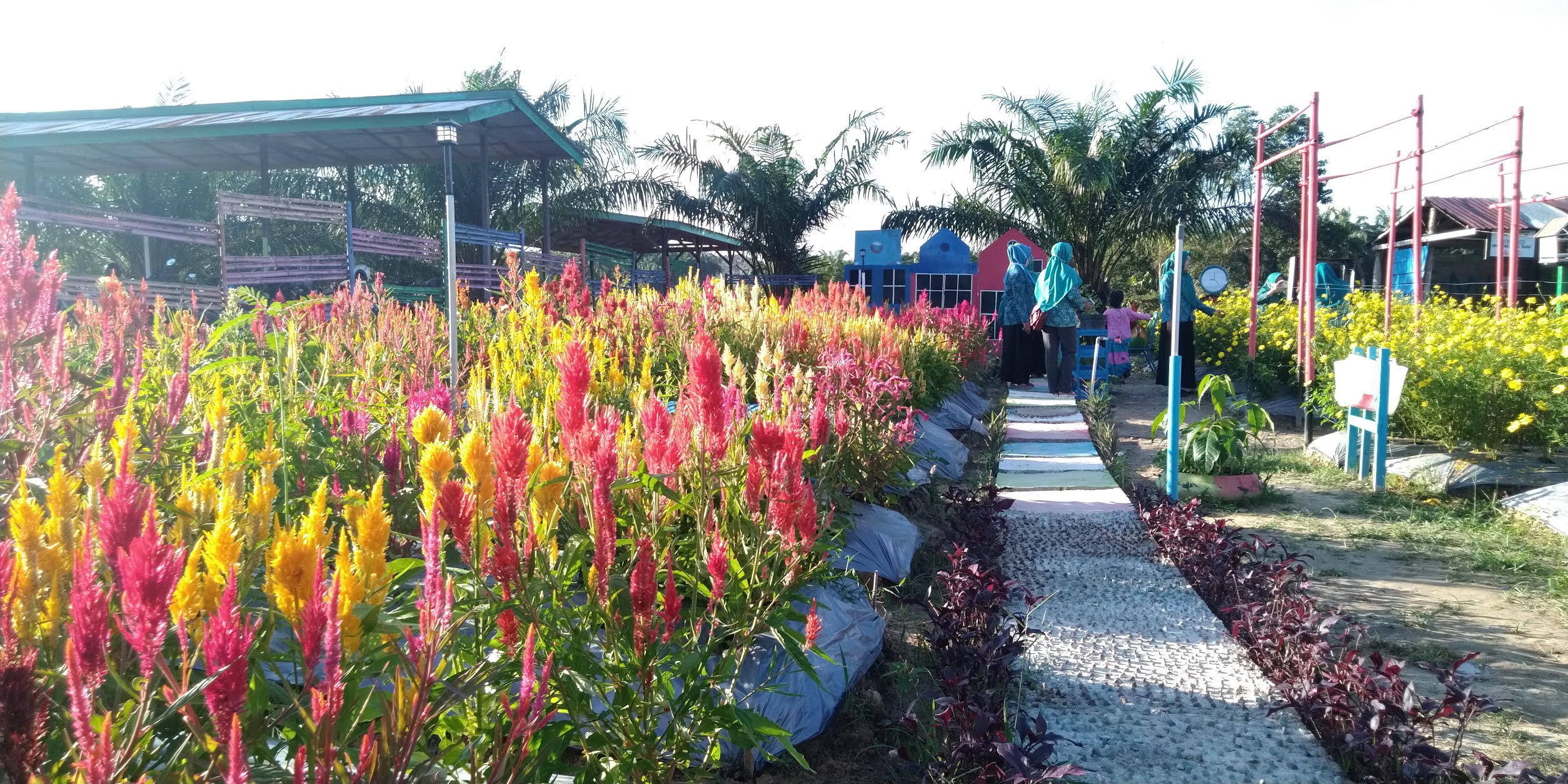 Detail Gambar Taman Bunga Di Sekolah Nomer 41