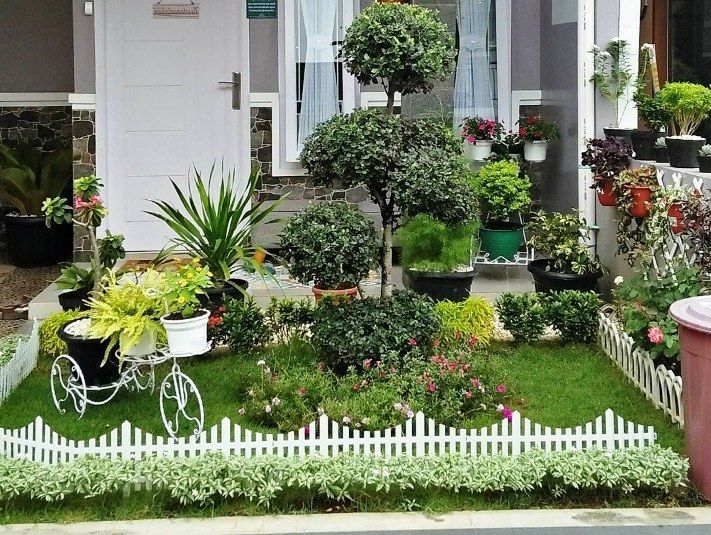 Detail Gambar Taman Bunga Halaman Rumah Nomer 11