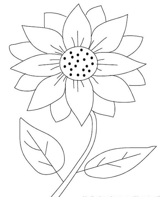 Detail Gambar Taman Bunga Kartun Hitam Putih Nomer 42