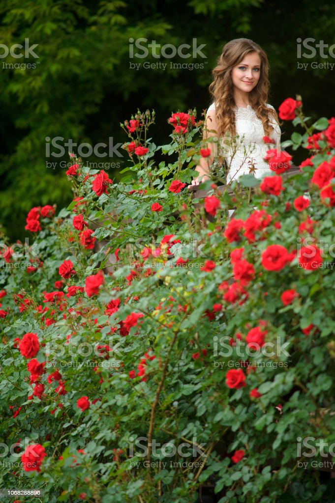 Detail Gambar Taman Bunga Mawar Merah Nomer 34