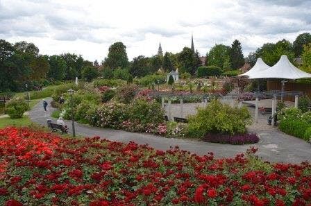 Detail Gambar Taman Bunga Mawar Terindah Di Dunia Nomer 25