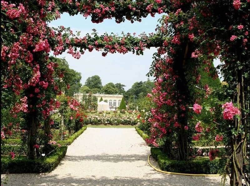 Detail Gambar Taman Bunga Mawar Terindah Di Dunia Nomer 6