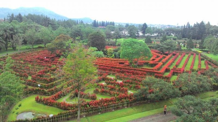 Detail Gambar Taman Bunga Nusantara Nomer 11