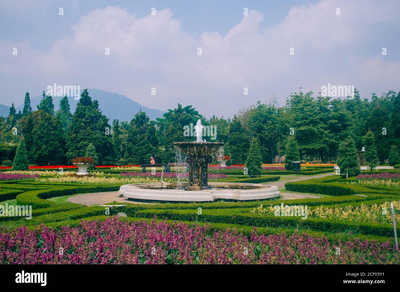 Detail Gambar Taman Bunga Nusantara Bogor Nomer 14