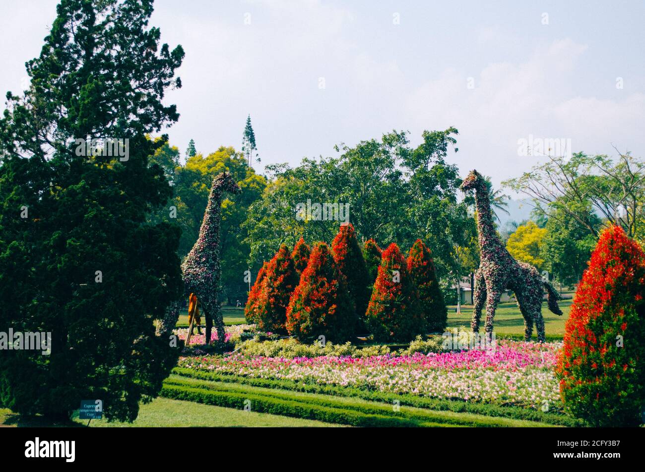 Detail Gambar Taman Bunga Nusantara Bogor Nomer 25