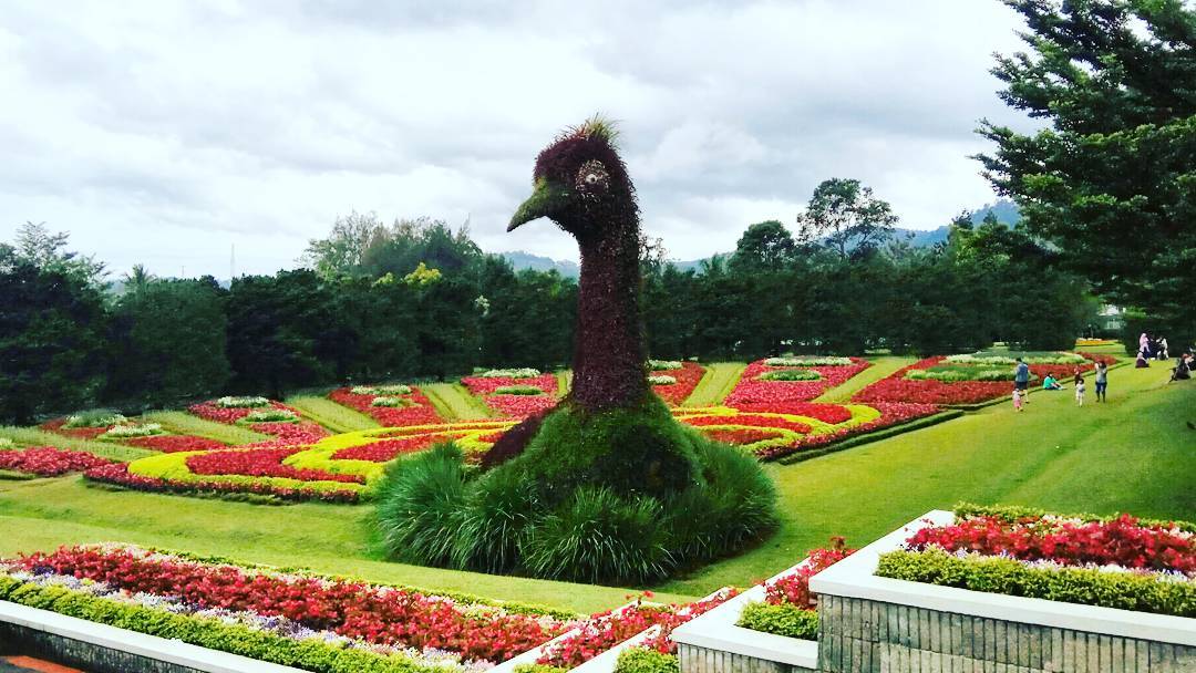 Detail Gambar Taman Bunga Nusantara Cianjur Nomer 22