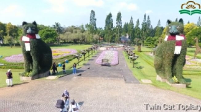 Detail Gambar Taman Bunga Nusantara Cianjur Nomer 37