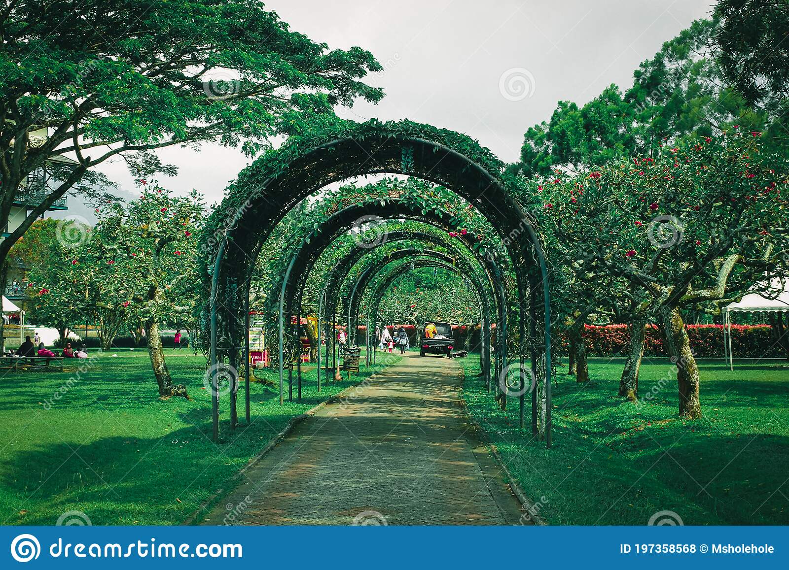 Detail Gambar Taman Bunga Nusantara Cianjur Nomer 40