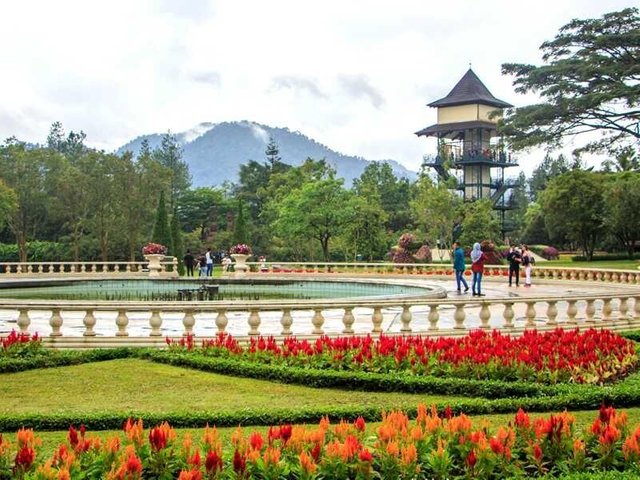 Detail Gambar Taman Bunga Nusantara Cianjur Nomer 41