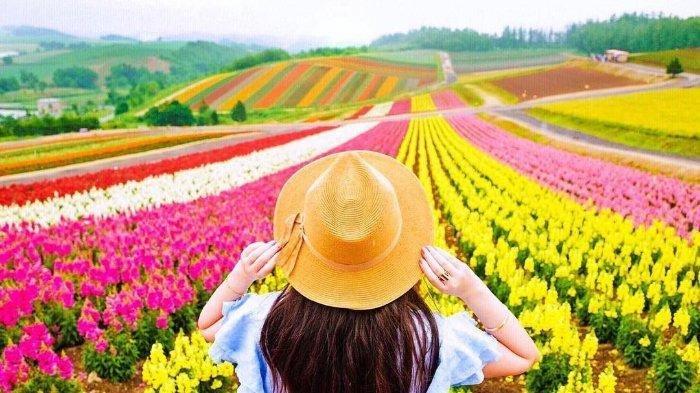 Download Gambar Taman Bunga Paling Cantik Di Dunia Nomer 19