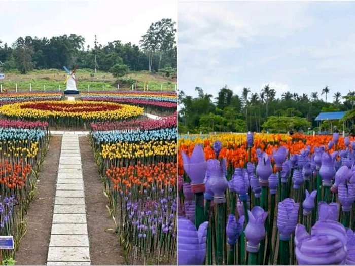 Detail Gambar Taman Bunga Tulip Nomer 56