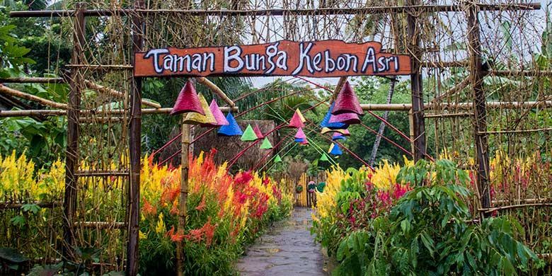 Detail Gambar Taman Bunga Unik Nomer 44