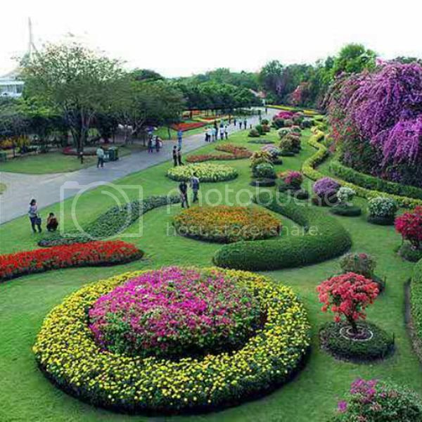 Detail Gambar Taman Bunga Wiladatika Jakarta Timur Nomer 18