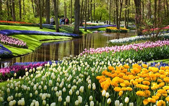 Gambar Taman Bunga Yang Paling Indah Di Dunia - KibrisPDR
