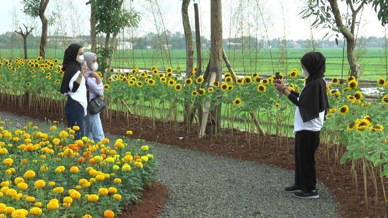 Detail Gambar Taman Bunga Yang Sederhana Nomer 55
