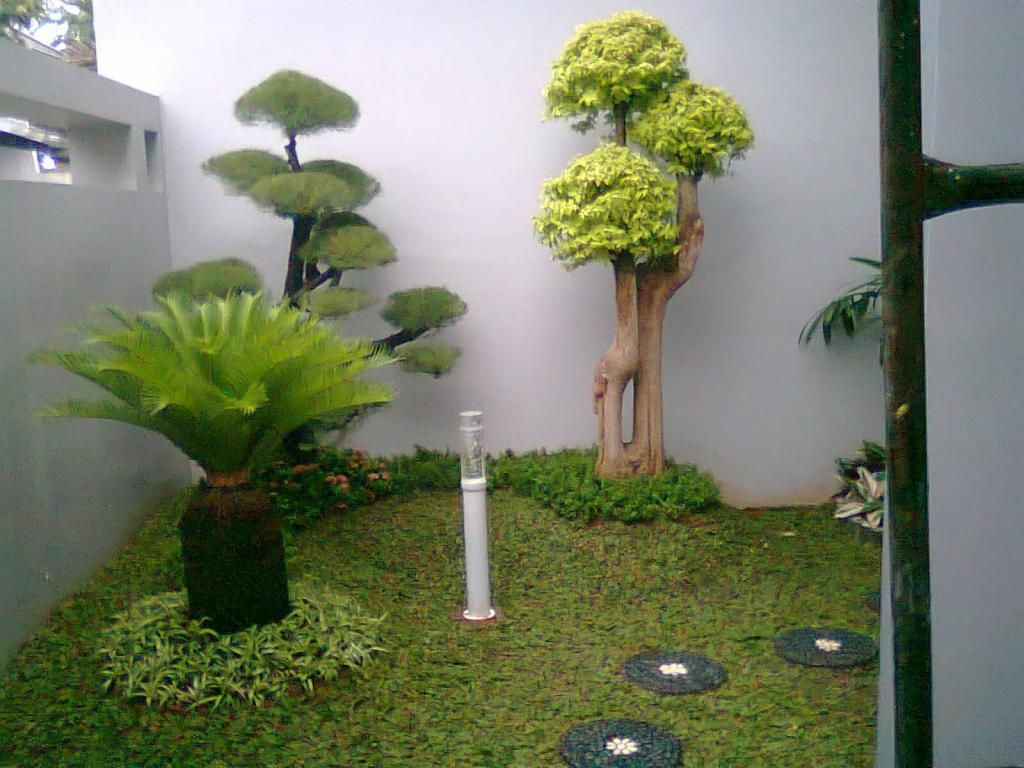 Detail Gambar Taman Di Rumah Nomer 51