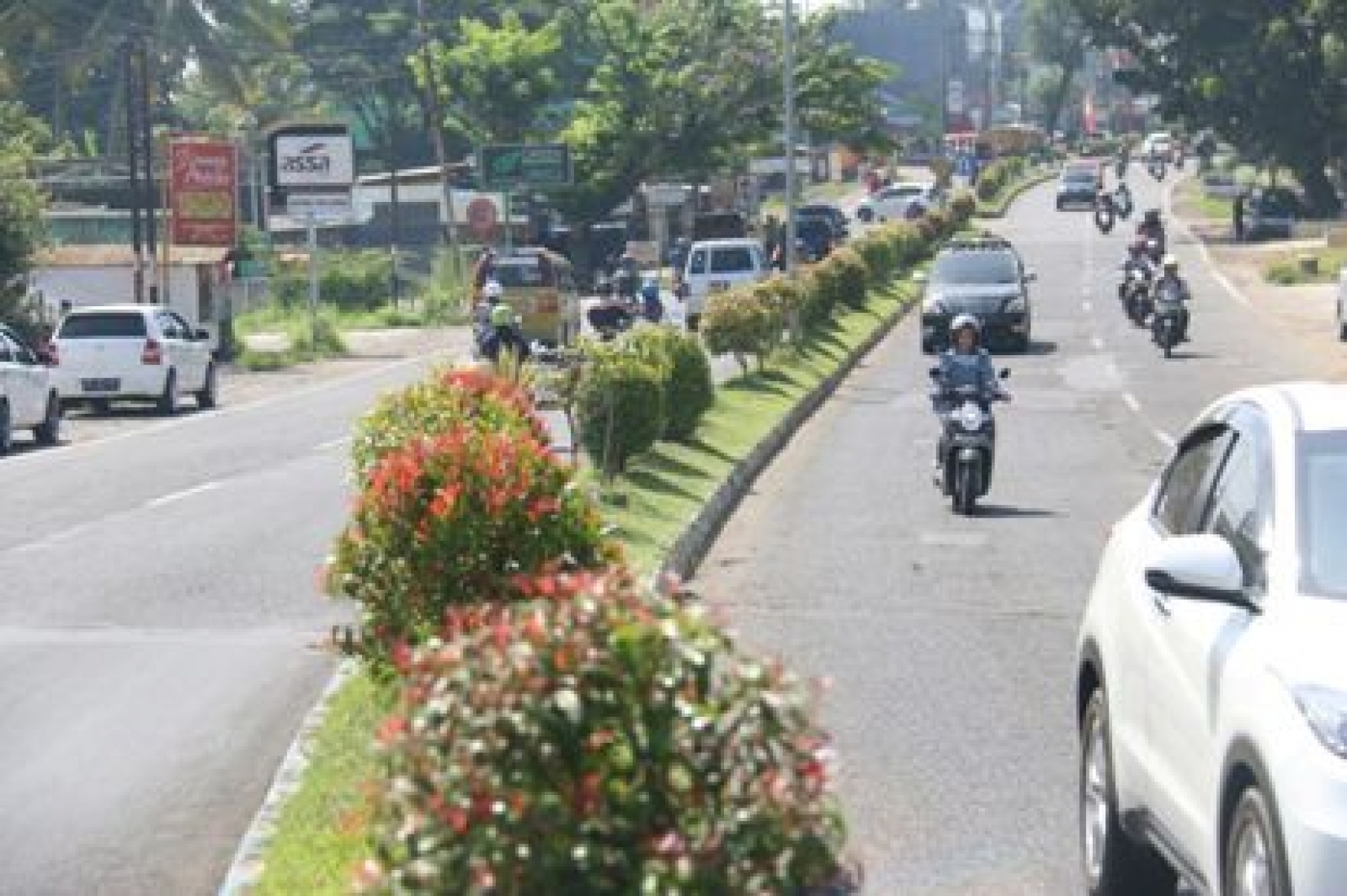 Detail Gambar Taman Jalan Gambar Taman Dimedian Jalan Nomer 17