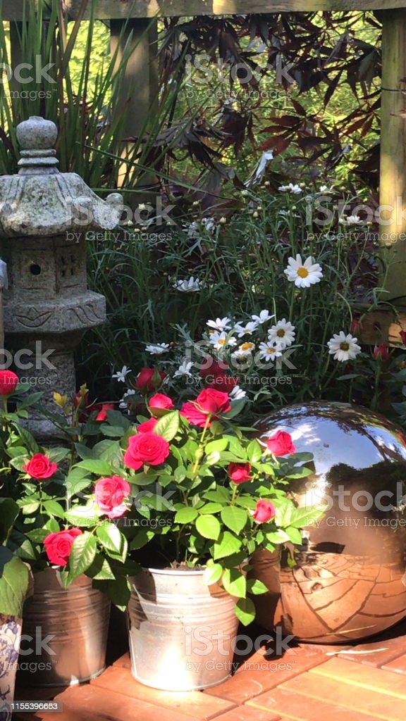 Detail Gambar Taman Kecil Bunga Mawar Nomer 43