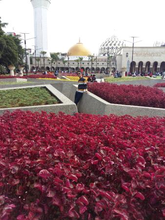 Detail Gambar Taman Masjid Nomer 7