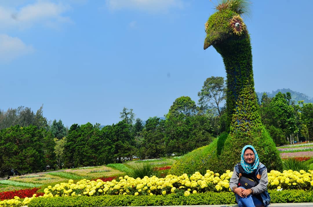 Detail Gambar Taman Matahari Bogor Nomer 7