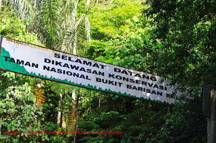 Detail Gambar Taman Nasional Nomer 44