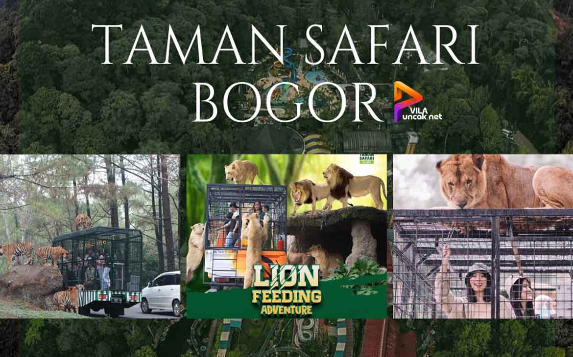 Detail Gambar Taman Safari Nomer 53