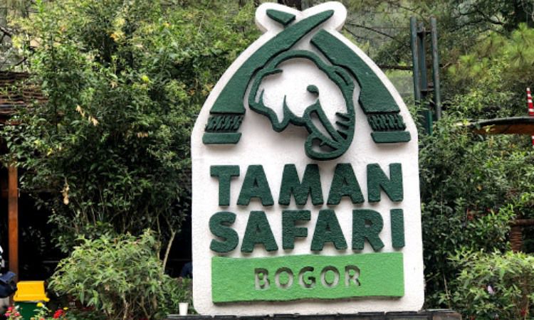 Detail Gambar Taman Safari Bogor Nomer 24