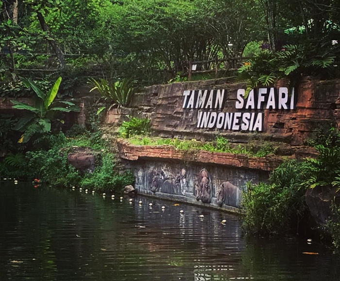 Detail Gambar Taman Safari Bogor Nomer 33