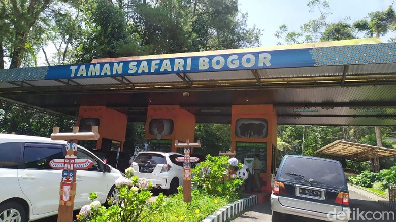 Detail Gambar Taman Safari Bogor Nomer 49