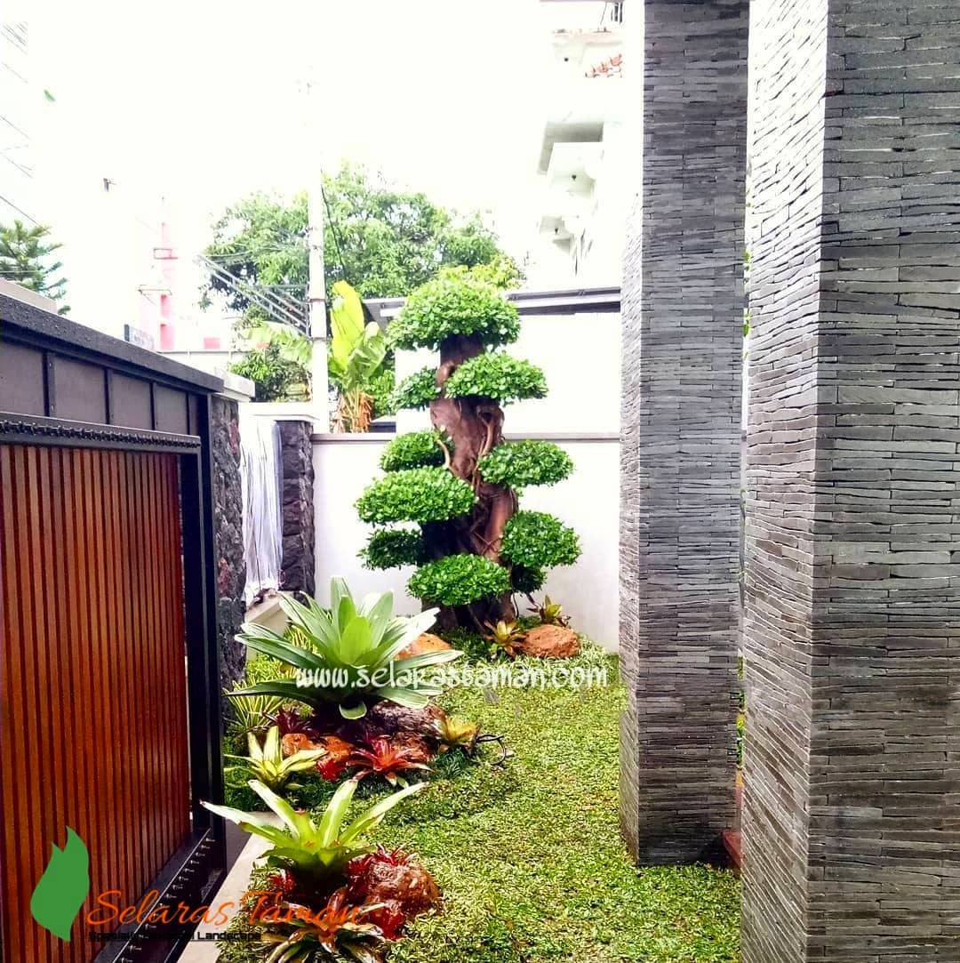 Detail Gambar Taman Samping Rumah Nomer 51