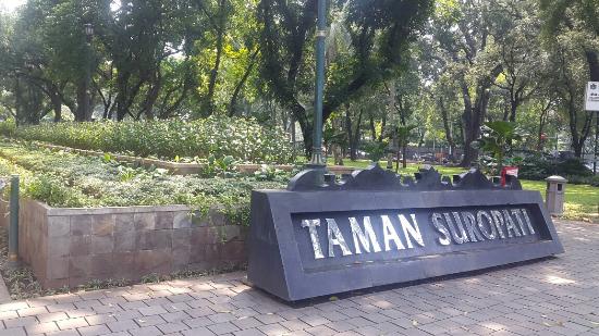 Detail Gambar Taman Suropati Nomer 28