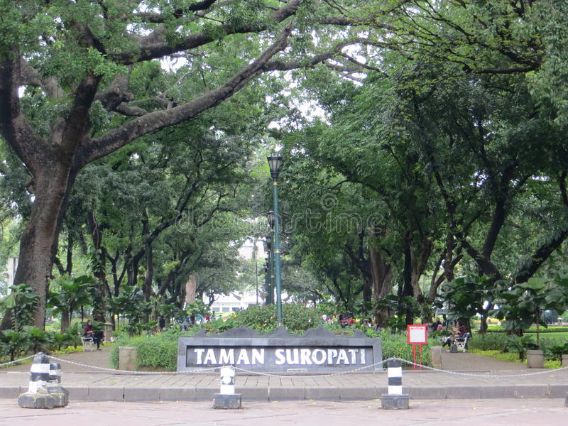 Detail Gambar Taman Suropati Nomer 6