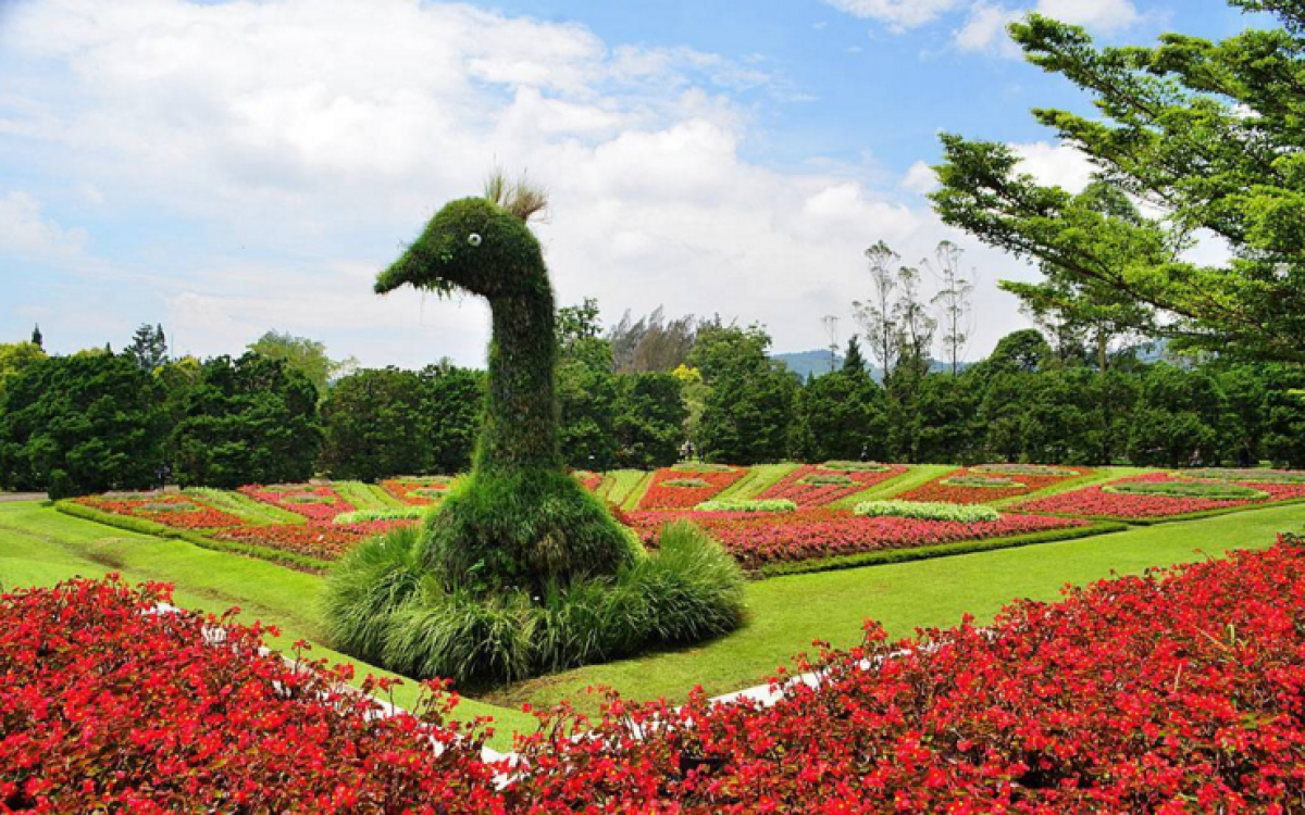 Detail Gambar Taman Terindah Di Indonesia Nomer 10