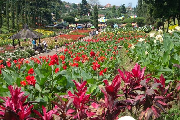 Detail Gambar Taman Terindah Di Indonesia Nomer 48