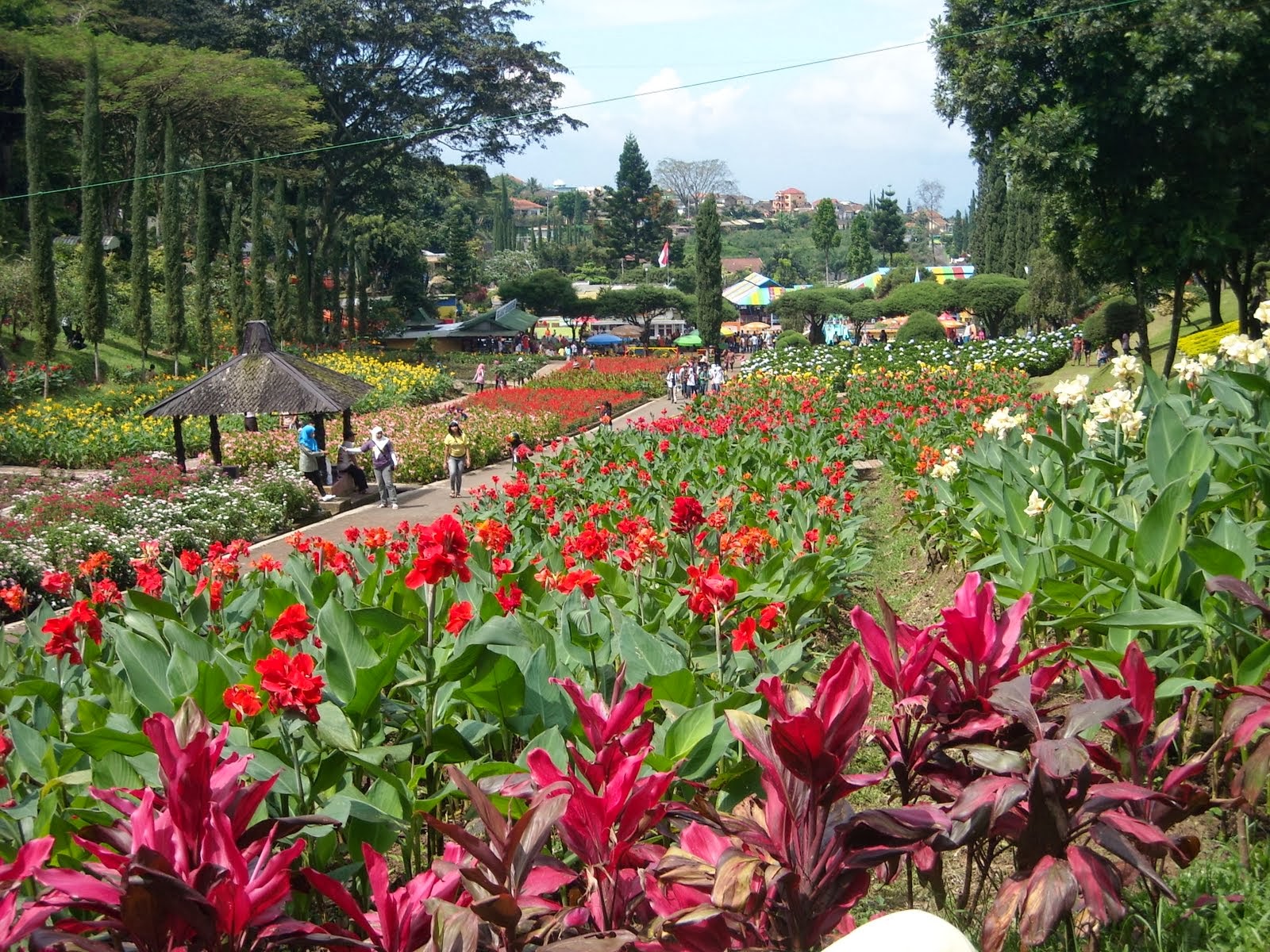 Detail Gambar Taman Terindah Di Indonesia Nomer 51