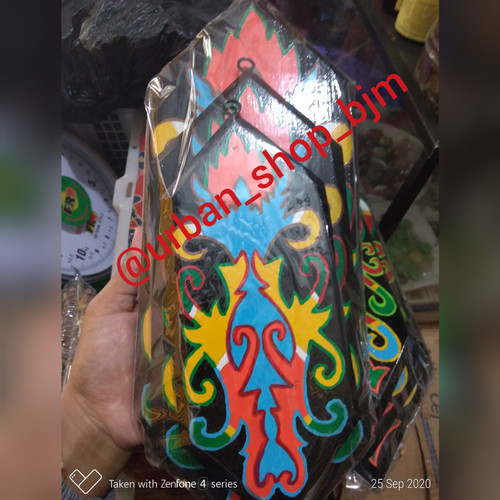 Detail Gambar Tameng Kalimantan Nomer 49