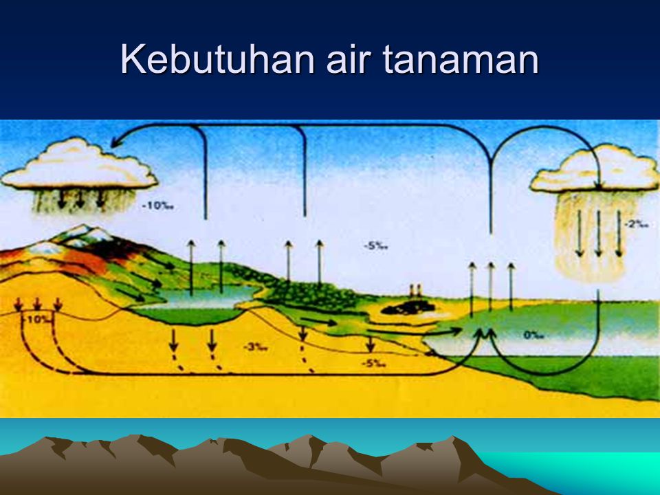 Gambar Tanah Air Dan Tumbuhan Air - KibrisPDR