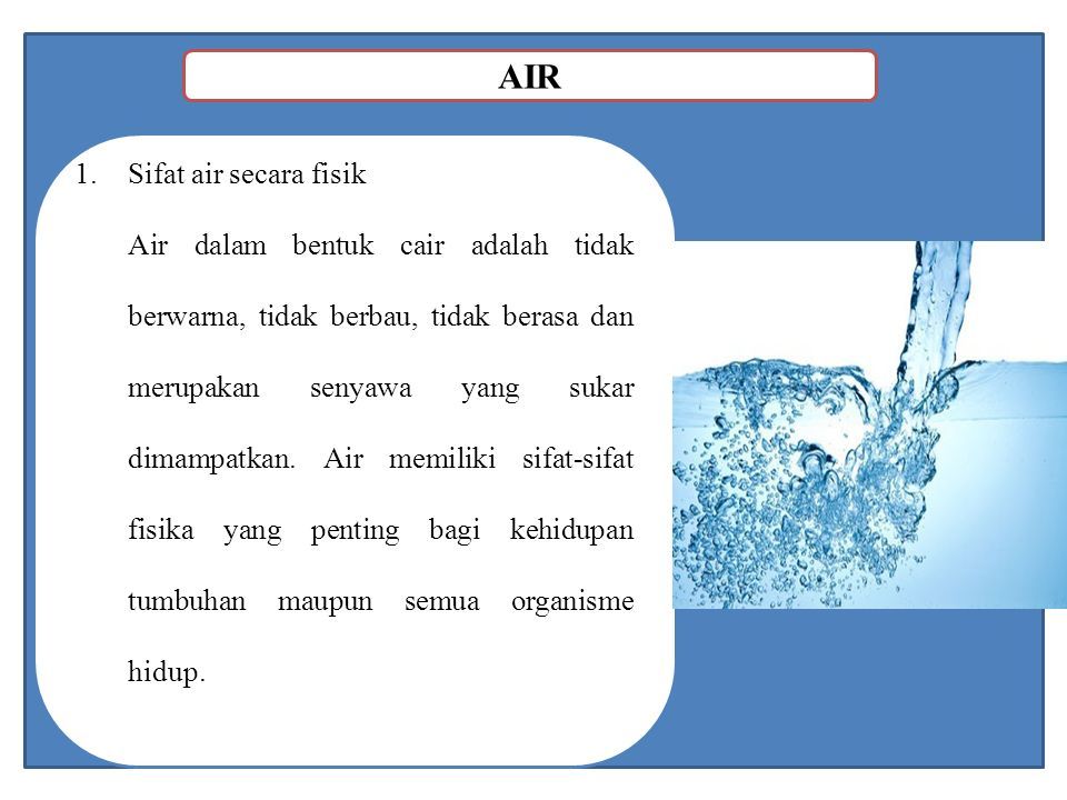 Detail Gambar Tanah Air Dan Tumbuhan Air Nomer 43