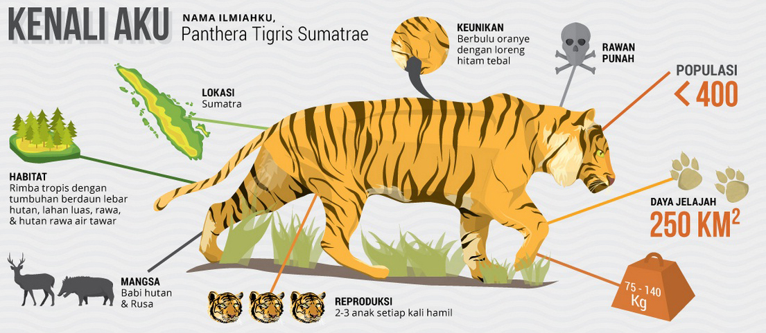 Detail Gambar Tanah Air Dan Tumbuhan Harimau Nomer 12