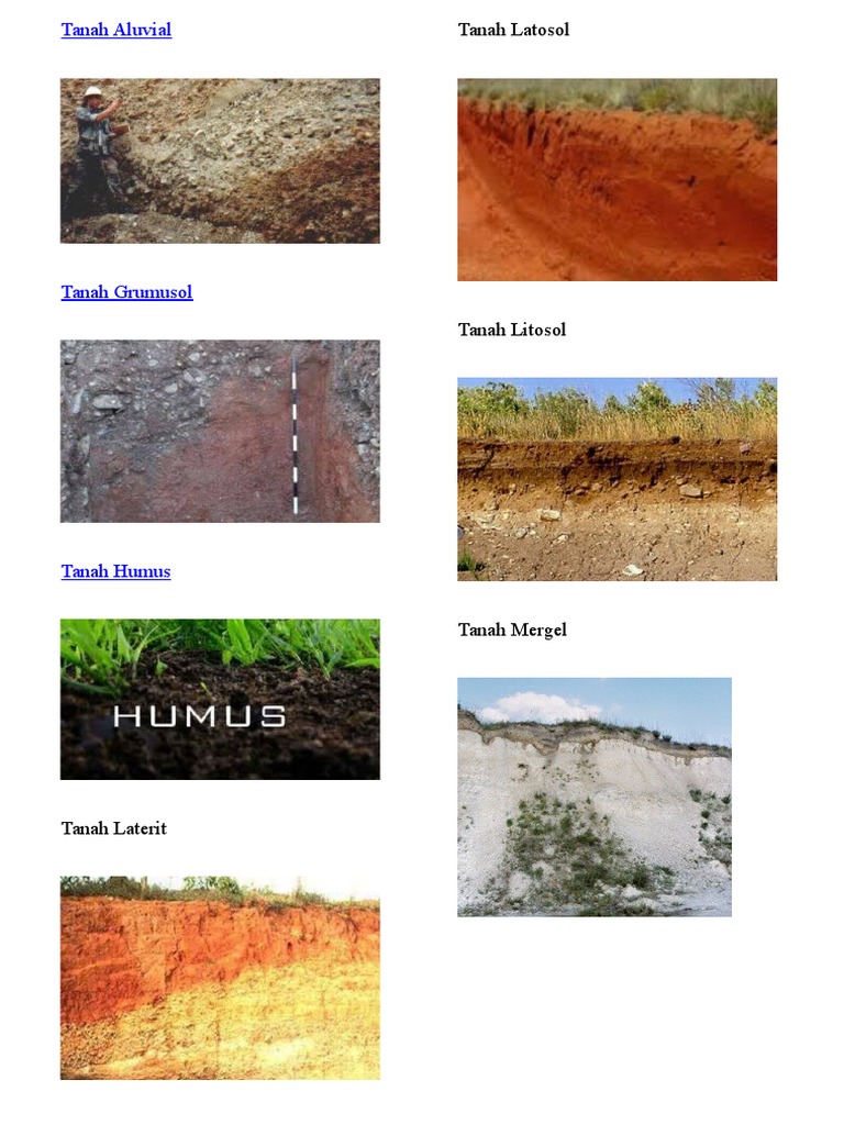 Detail Gambar Tanah Aluvial Nomer 26