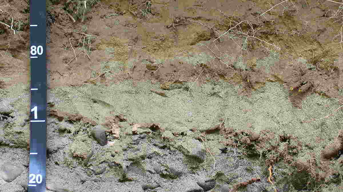 Detail Gambar Tanah Aluvial Nomer 4