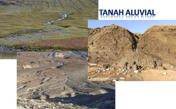 Detail Gambar Tanah Aluvial Nomer 6