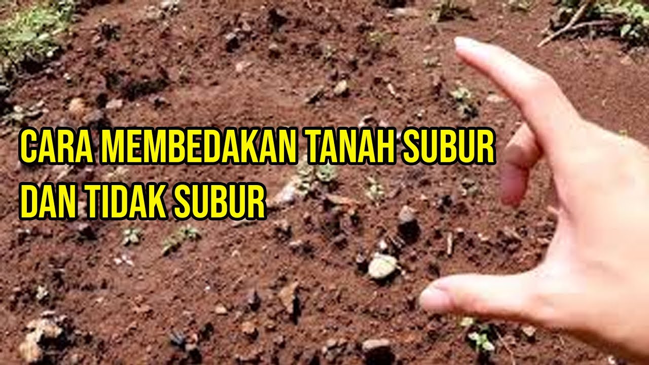 Detail Gambar Tanah Yang Subur Nomer 16