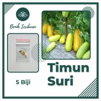 Detail Gambar Tanaman Buah Beluka Batu Nomer 29